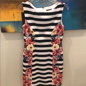 Tahari 6P classy dress